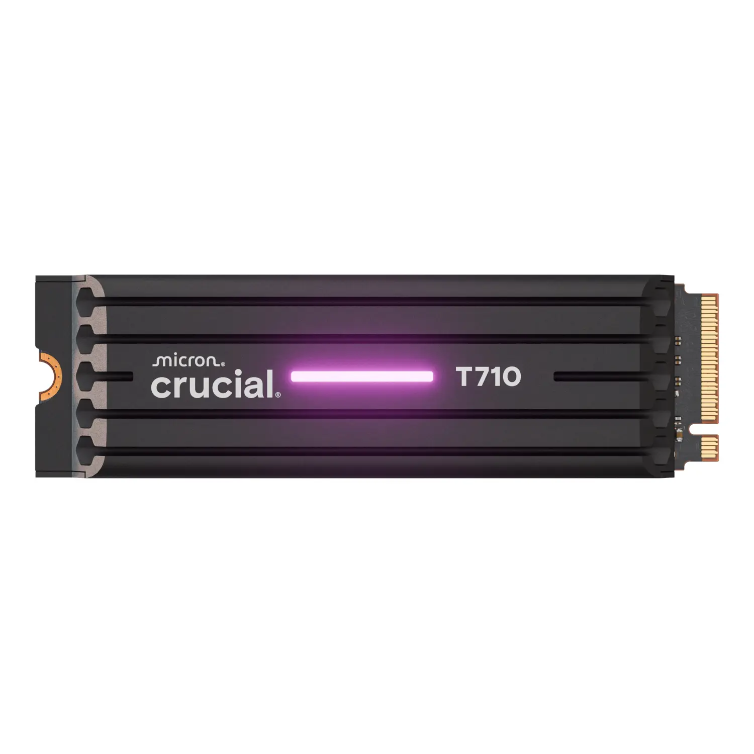Crucial T710 1TB M.2 NVMe Gen5 NAND SSD with Heatsink