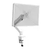 PORT Monitor Arm VESA Single Screen - White