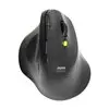 Port Connect 2.4GHz Wireless ERGO SOFT Bluetooth Rechargeable Mouse