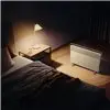 Xiaomi Smart Space Heater S EU