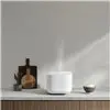 Xiaomi Smart Multifunctional Rice Cooker