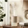 Xiaomi Smart Scent Diffuser Refill (Rose and Lychee) 135ml