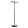 Wanbo Floor Stand Pro
