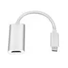Gizzu 4K Type-C to HDMI Adapter Poly