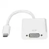 Gizzu 1080P Type-C to VGA Adapter Poly