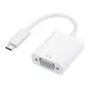 Gizzu 1080P Type-C to VGA Adapter Poly