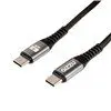 GIZZU 60W 480Mbps Type-C 2m Cable