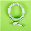 Gizzu USB Type-C to Lighting Cable 1.8m