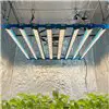 Kingbrite P55 800W BAR Grow Light with UV+IR |Samsung LM281B
