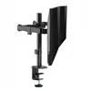 WINX RISE Simple Adjustable Dual Monitor Arm