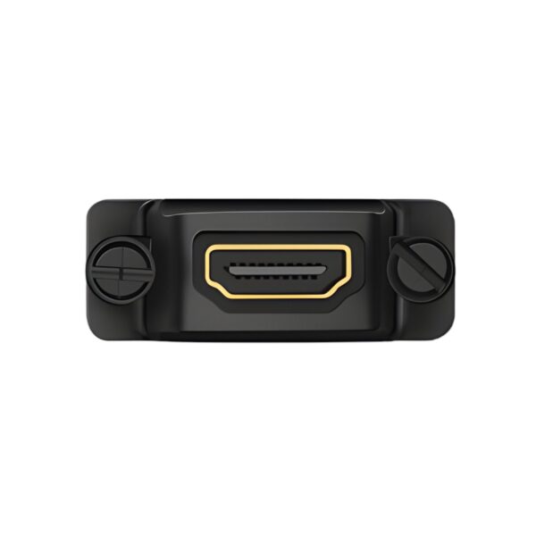 UGREEN 20124-20124 DVI (24+1) Male to HDMI Female Adapter - Black