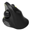 Port Connect Bluetooth + Wireless Rechargeable Ergonomic Trackball Mouse