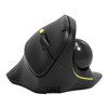 Port Connect Bluetooth + Wireless Rechargeable Ergonomic Trackball Mouse