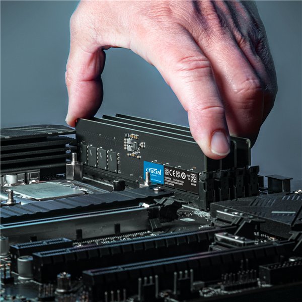 Crucial 32GB 5600Mhz DDR5 Desktop Memory