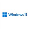 FQC-10528 wr 01 MICROSOFT WIN 11 PRO 64BIT DSP