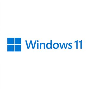 MICROSOFT WIN 11 PRO 64BIT DSP