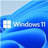 FQC-10528 wr 02 MICROSOFT WIN 11 PRO 64BIT DSP