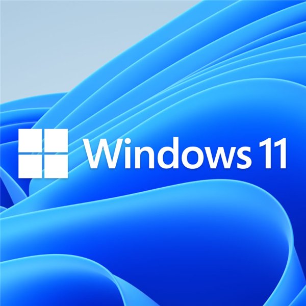 FQC-10528 wr 02 MICROSOFT WIN 11 PRO 64BIT DSP