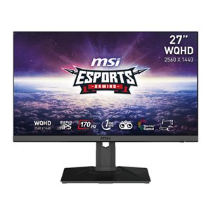 MSI G272QPF 27" WQHD IPS 170Hz 1ms Flat Gaming Monitor