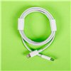 Gizzu USB Type-C to Lighting Cable 1.8m