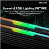 Hiksemi Future RGB 16GBKIT (2x8GB) 3600MHz DDR4 Desktop Gaming Memory Black