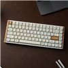 Keychron K2 HE Wireless Special Edition Magnetic Custom Keyboard | NEBULA Switch – White