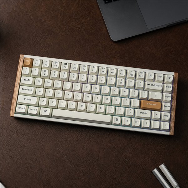 Keychron K2 HE Wireless Special Edition Magnetic Custom Keyboard | NEBULA Switch – White