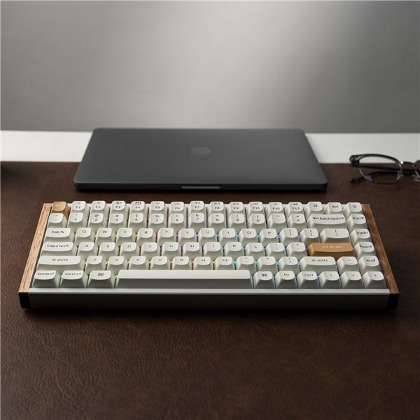 Keychron K2 HE Wireless Special Edition Magnetic Custom Keyboard | NEBULA Switch – White