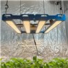 Kingbrite P55 240W BAR Grow Light with UV+IR |Samsung LM281B