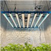 Kingbrite P55 800W BAR Grow Light with UV+IR |Samsung LM281B