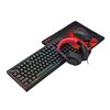 Redragon 4-in-1 Keyboard | Mouse | Mousepad | Headset Gaming Combo