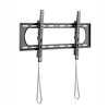 WINX MOUNT Max Tilt TV Bracket