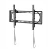 WINX MOUNT Max Tilt TV Bracket