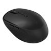 WINX CLICK More Dual-Mode Wireless Mouse - Black