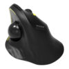 Port Connect Bluetooth + Wireless Rechargeable Ergonomic Trackball Mouse