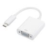 GAPCV wr 02 Gizzu 1080P Type-C to VGA Adapter Poly