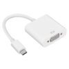 GAPCV wr 04 Gizzu 1080P Type-C to VGA Adapter Poly