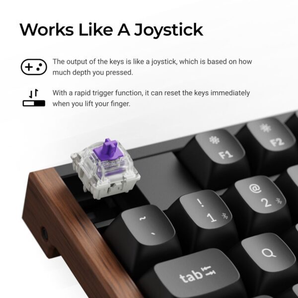 K10H-F1 Keychron-K10-HE-RDg-Wireless-Keyboard-Blk wr 04 Keychron K10 HE 100% Wireless Magnetic Gaming Keyboard Nebula Switches – Black