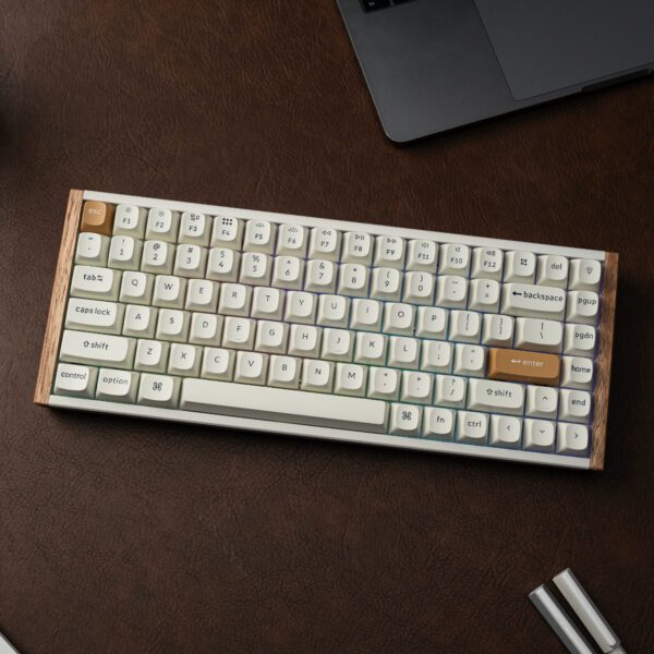 Keychron K2 HE Wireless Special Edition Magnetic Custom Keyboard | NEBULA Switch – White