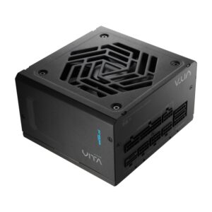 FSP VITA GM 1000W Gold Power Supply - ATX 3.1, PCIe 5.1, 80 Plus Gold