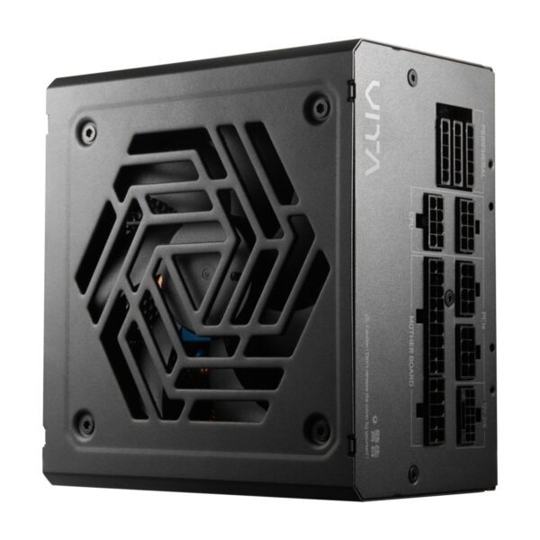 FSP VITA GM 1000W Gold Power Supply - ATX 3.1, PCIe 5.1, 80 Plus Gold