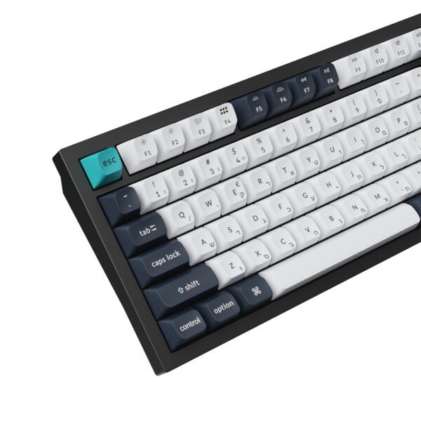 Q6M-M1 Keychron-Q6-Max-QMK-VIA-Wireless-Mechanical-Keyboard-Red-Switches wr 03a Keychron Q6 Max 100% Full Assembled Knob Red Switch Hot-Swap Gateron Jupiter RGB Wireless Keyboard - Black